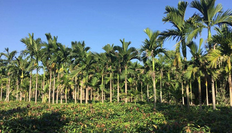 海南旅控休闲旅游有限公司